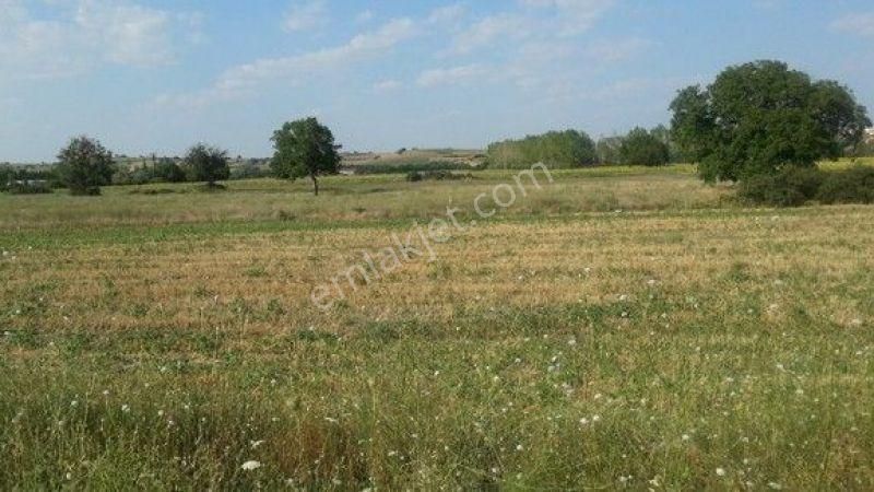 İstanbul House'dan Yeniçiftlik'te Villa İmarlı Arsa - Görsel 4