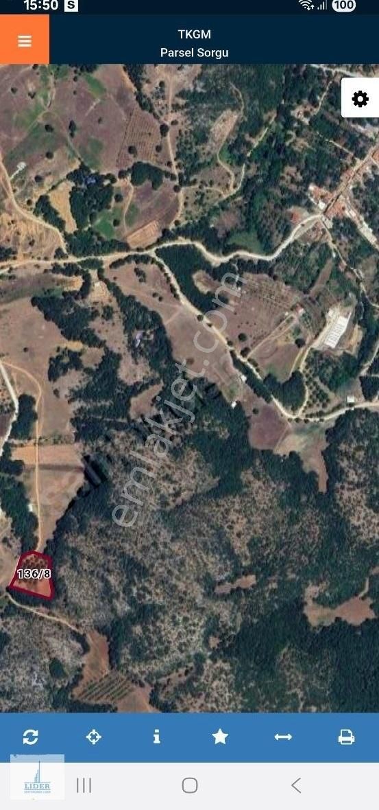 Bursa Orhangazi Fındıklı Mahalesi Satılık 4441 M2 Ceviz Bahçesi - Görsel 3