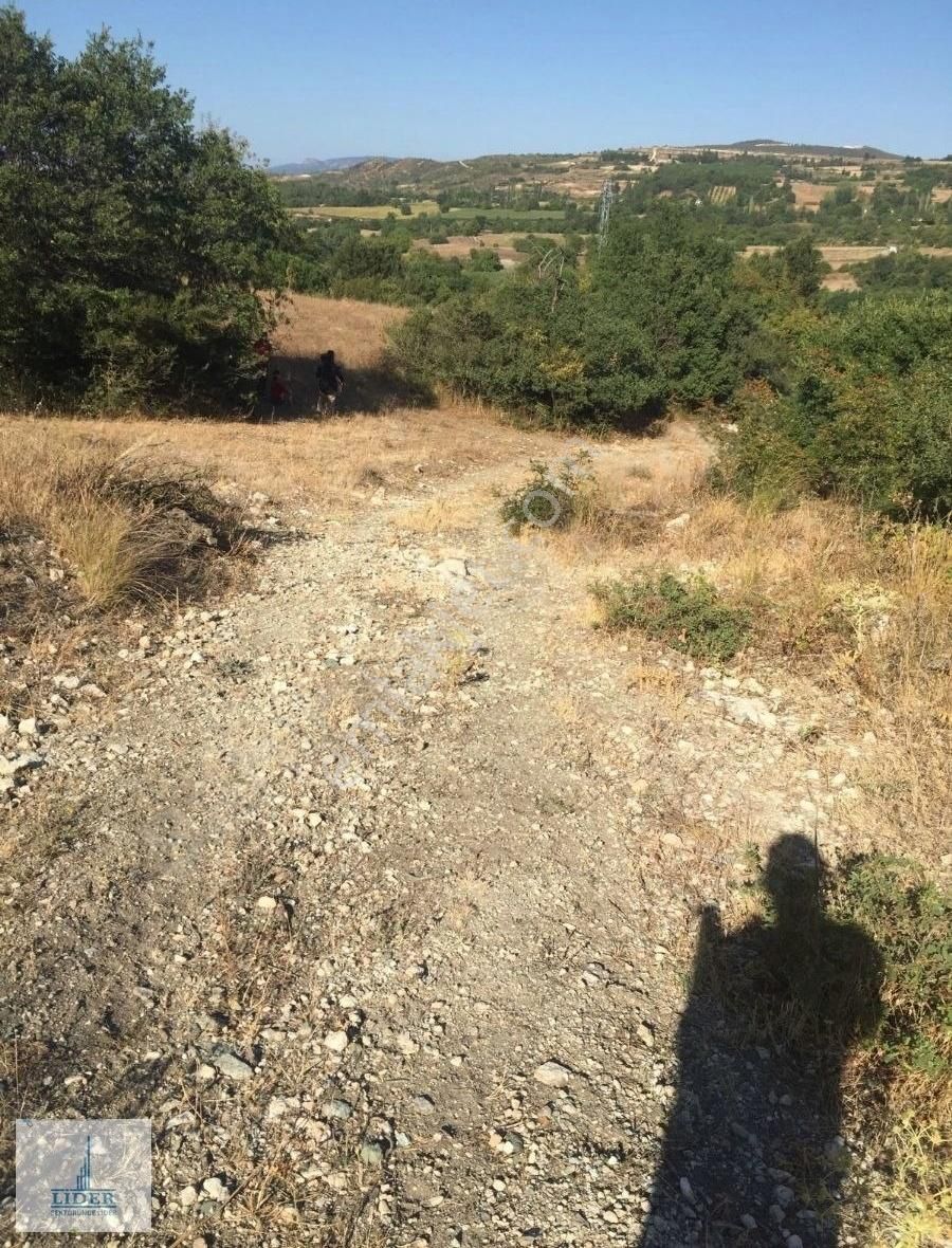 Bursa Yenişehir Günece Mahallesi 1573 M2 Tarla - Görsel 3