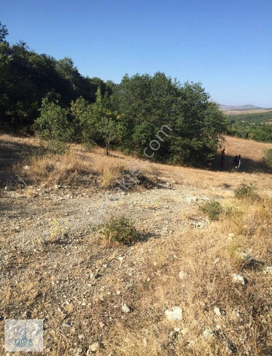 Bursa Yenişehir Günece Mahallesi 1573 M2 Tarla - Görsel 6