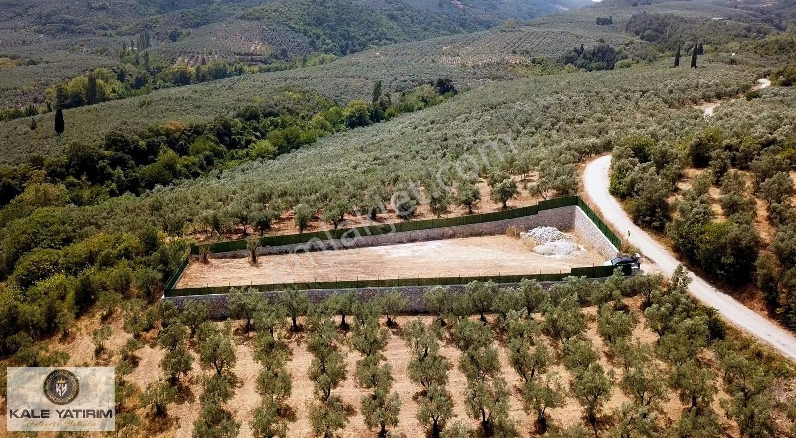 Kale Yatırımdan Karsakta Asfalt Cepheli 1236m² Etrafı Taş Duvar - Görsel 4