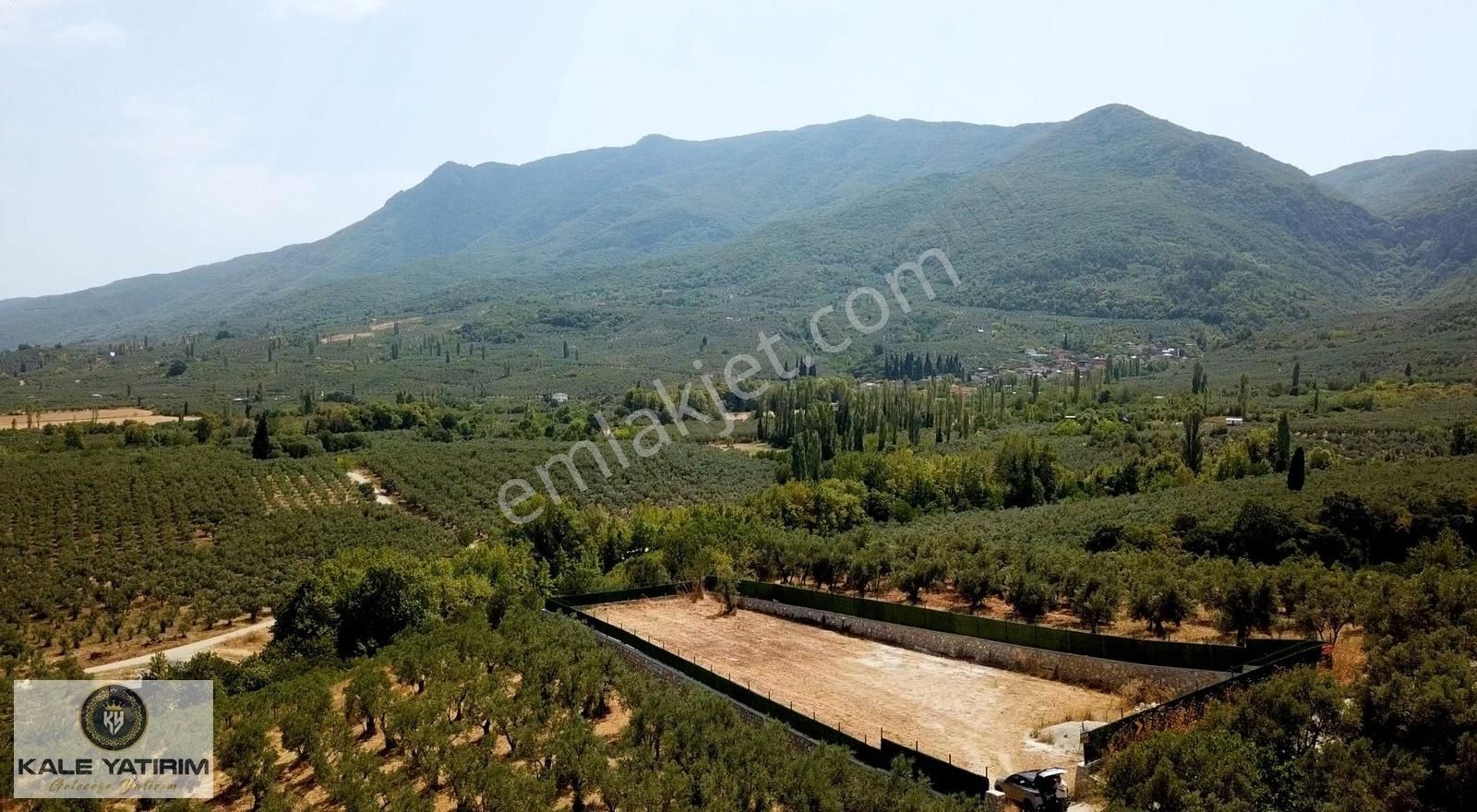 Kale Yatırımdan Karsakta Asfalt Cepheli 1236m² Etrafı Taş Duvar - Görsel 9