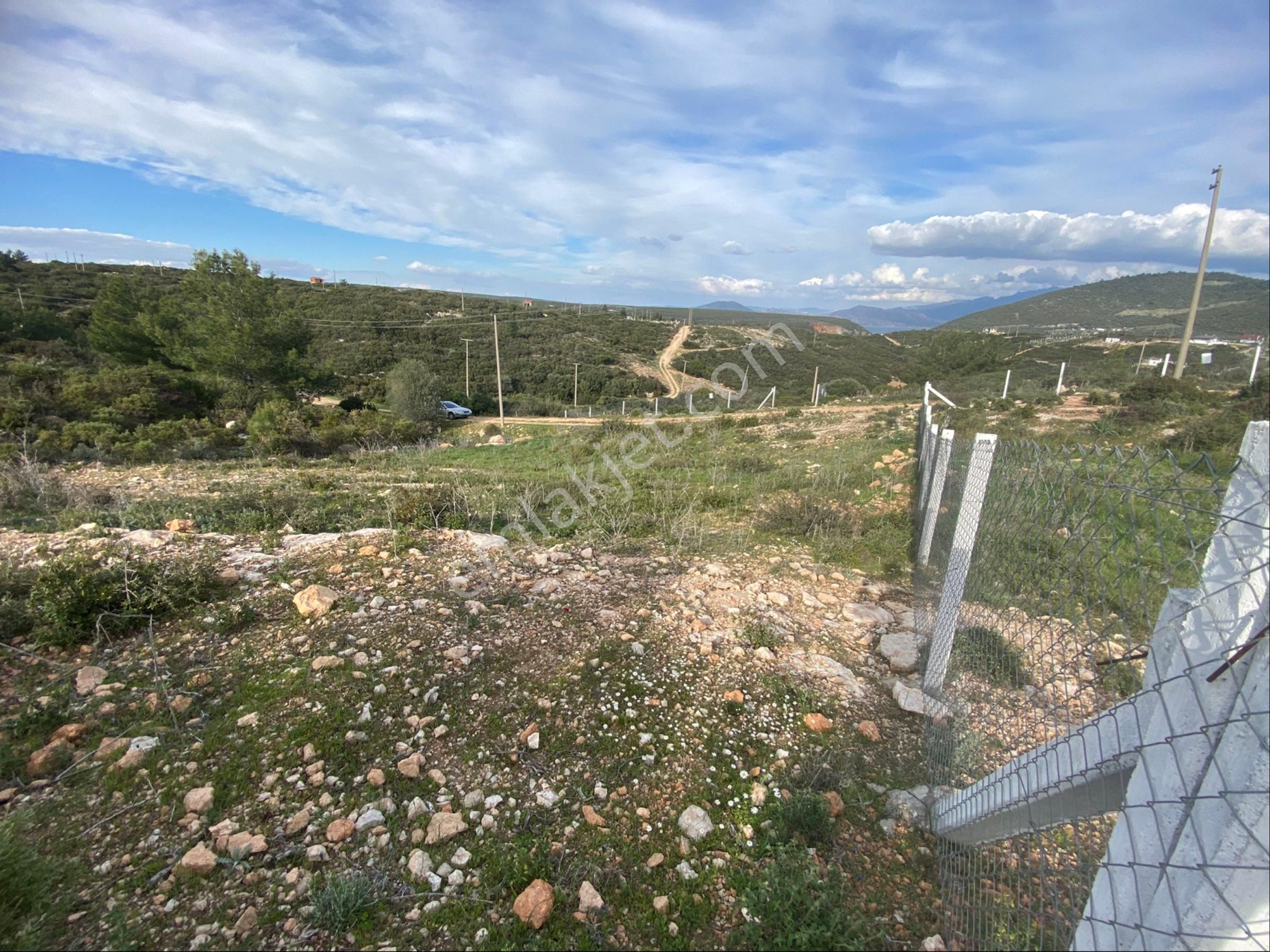 Didim/akyeniköy’de 585 M2, Bafa Gölü Manzaralı, Satılık Villa Arsası - Görsel 12