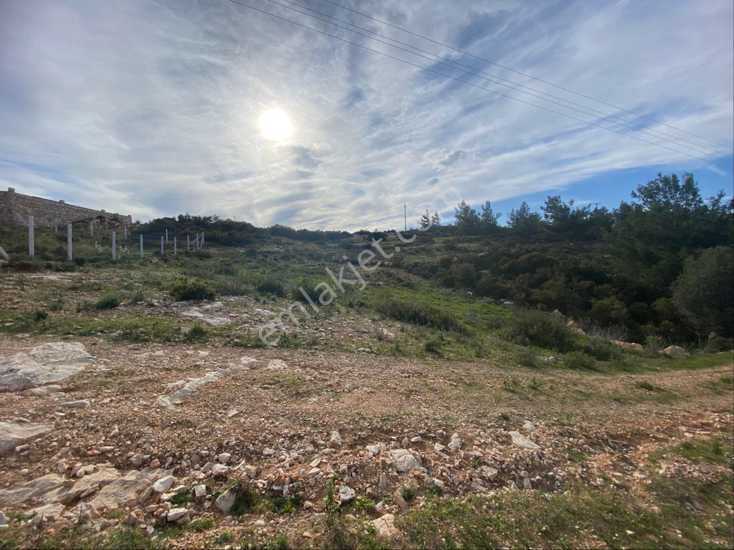 Didim/akyeniköy’de 585 M2, Bafa Gölü Manzaralı, Satılık Villa Arsası - Görsel 15