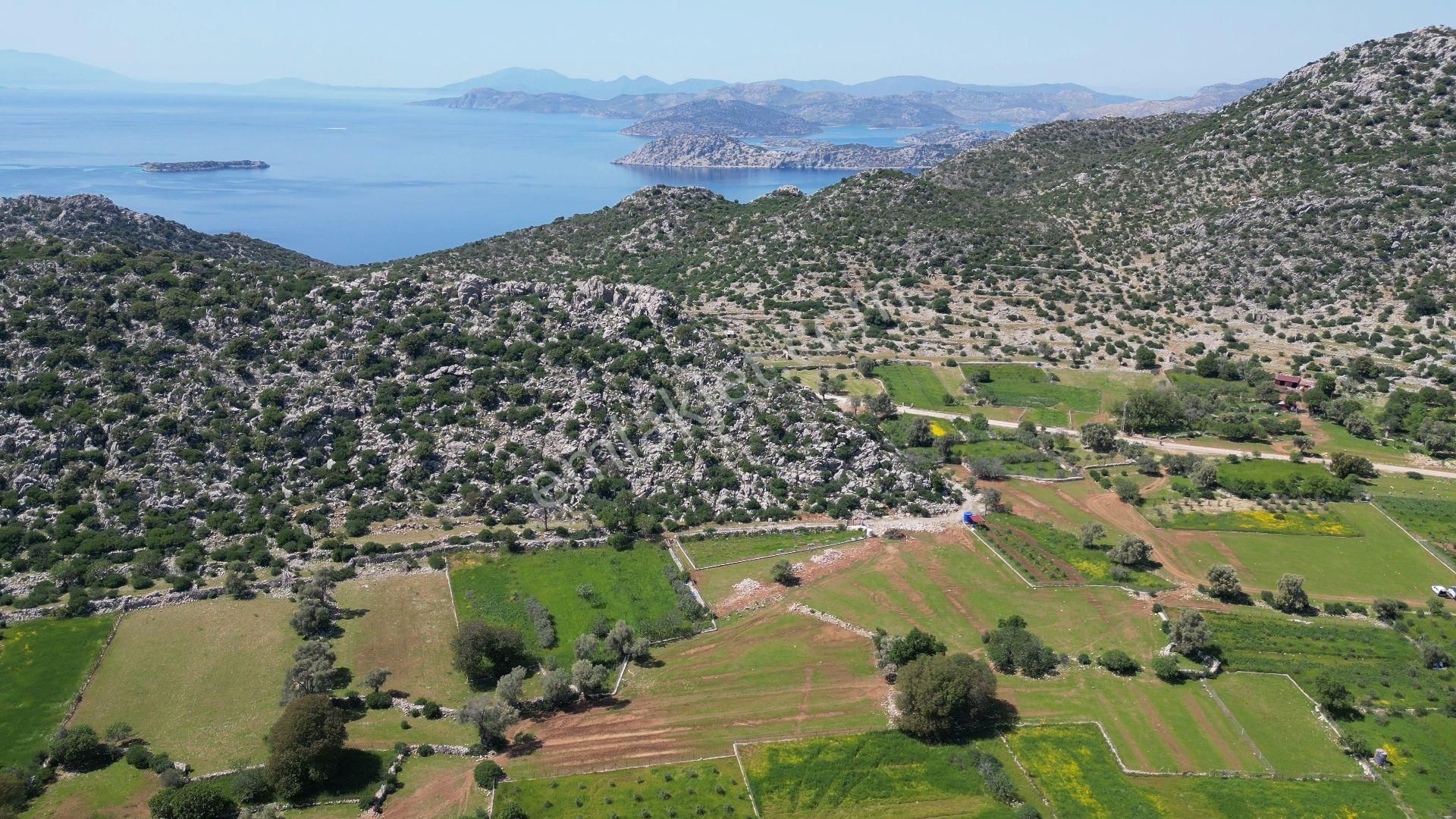 Joker: Marmaris Taşlıca Araç Yolu Açık Tiny House Uygun Tarla