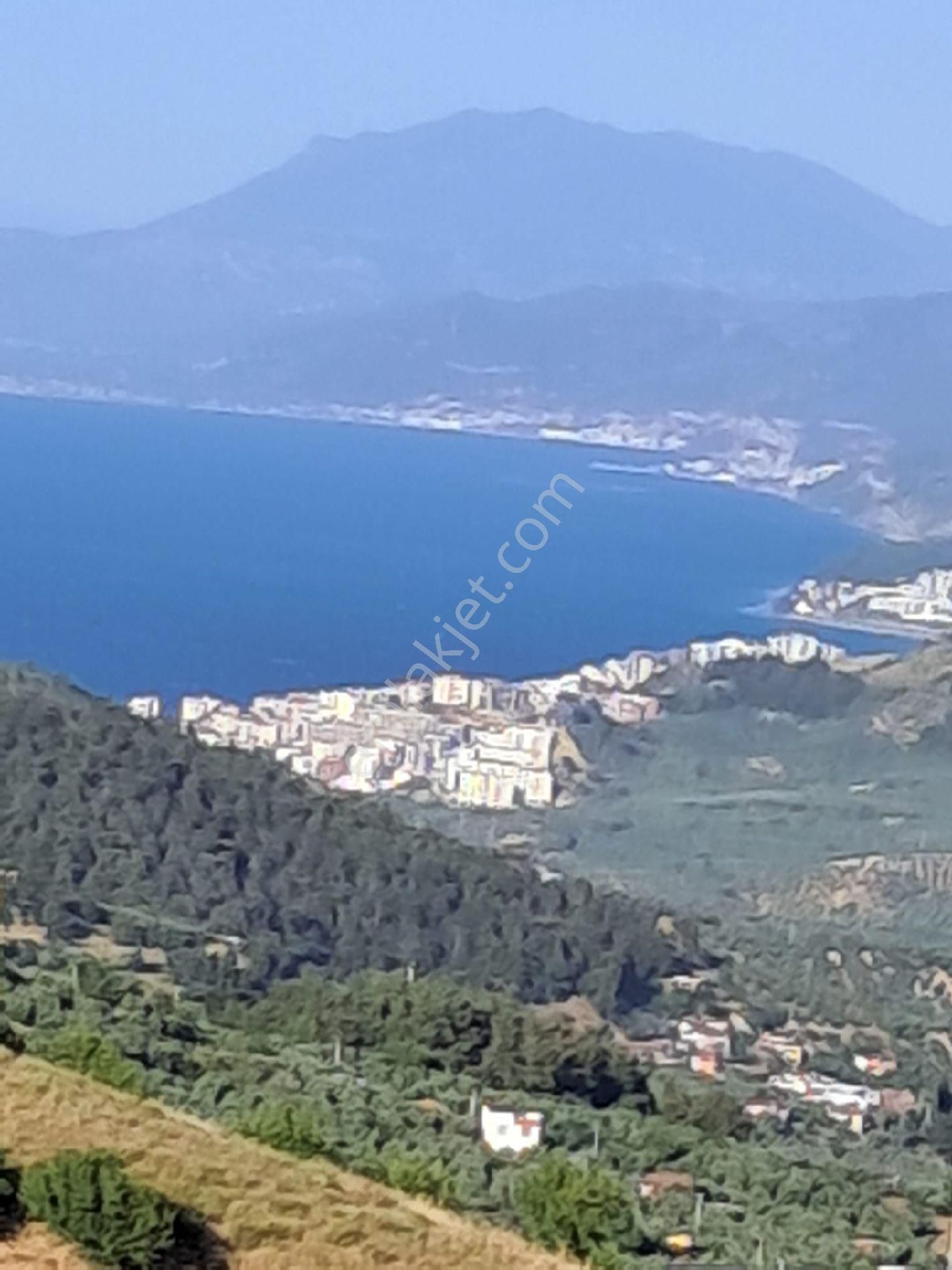 Bursa Mudanya Çepnide Satılık Tarla - Görsel 26