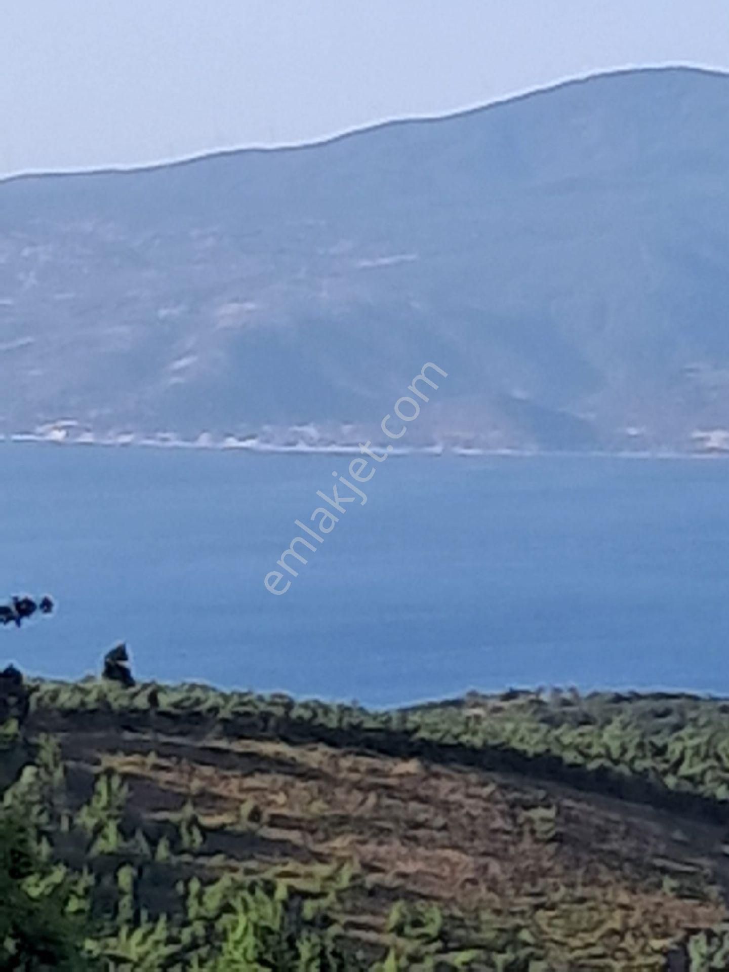 Bursa Mudanya Çepnide Satılık Tarla - Görsel 15