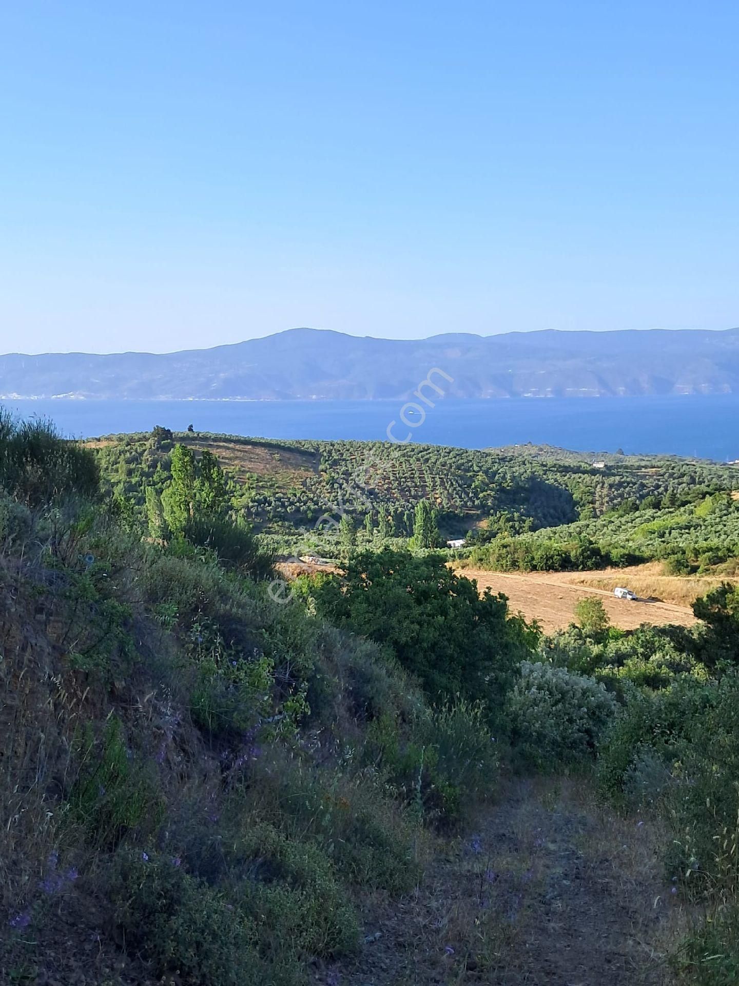 Bursa Mudanya Çepnide Satılık Tarla - Görsel 3