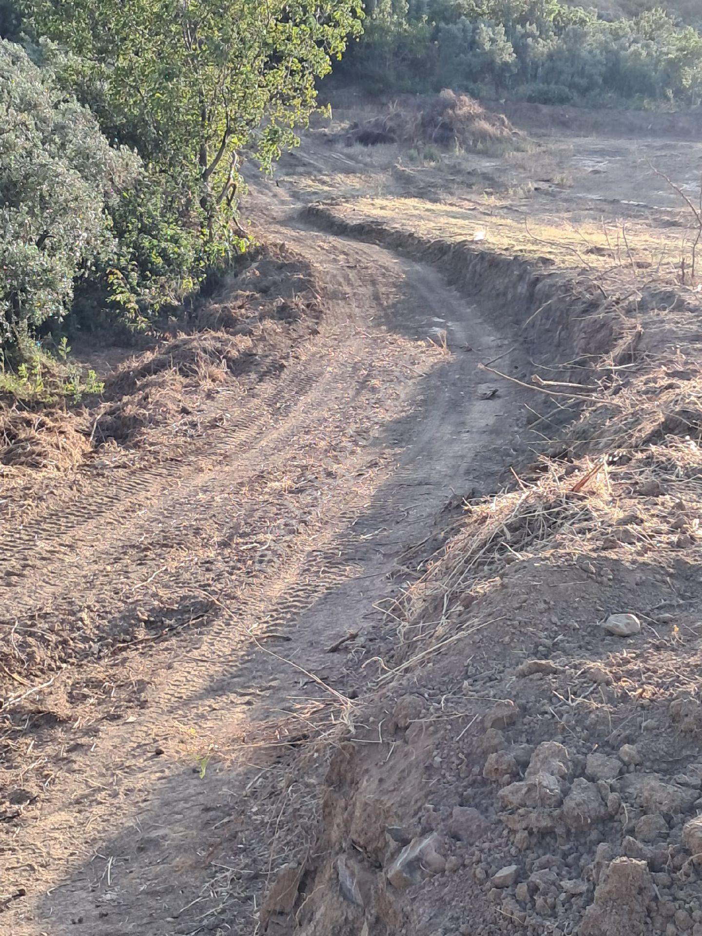 Bursa Mudanya Çepnide Satılık Tarla - Görsel 10