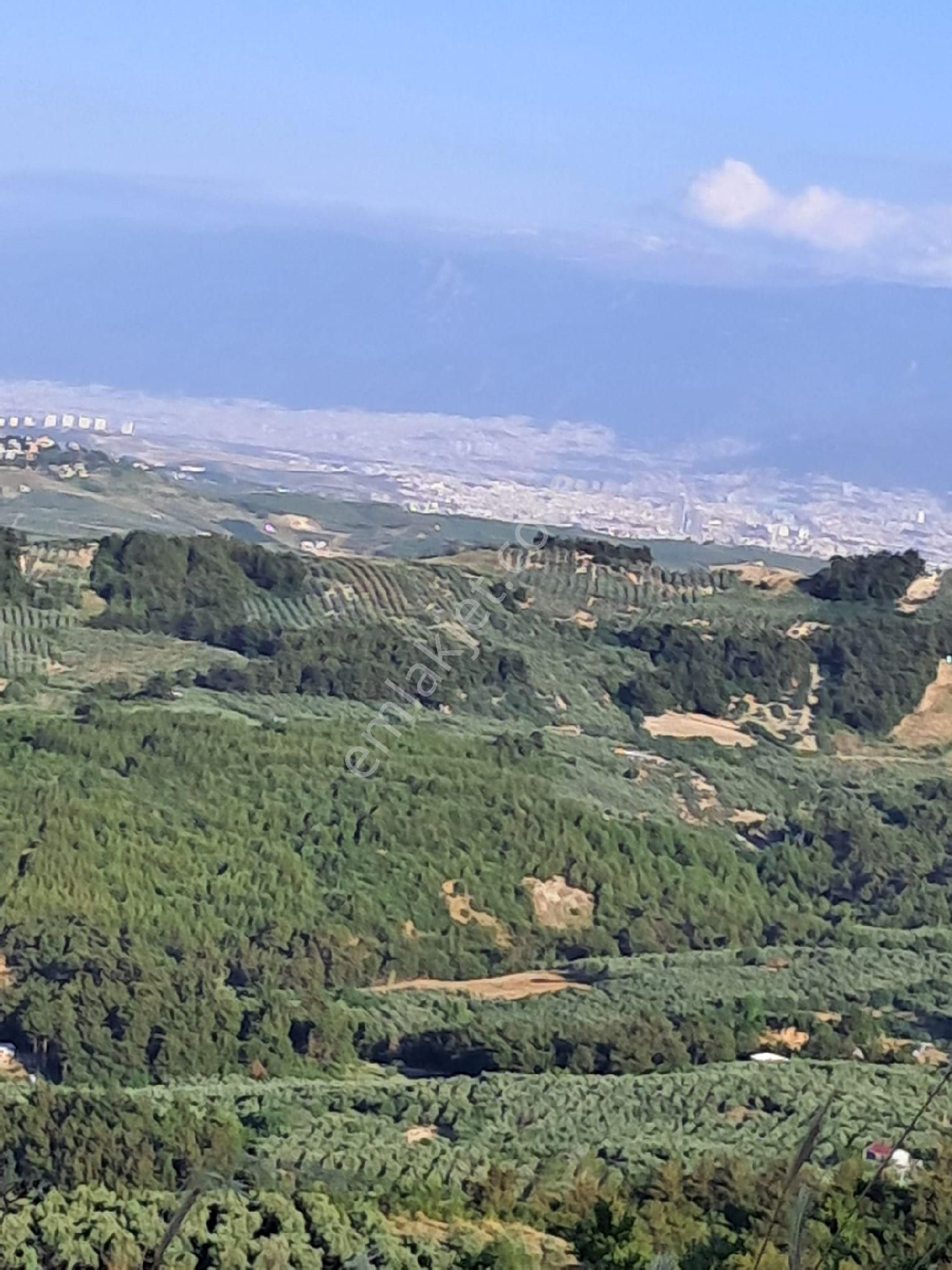 Bursa Mudanya Çepnide Satılık Tarla - Görsel 2