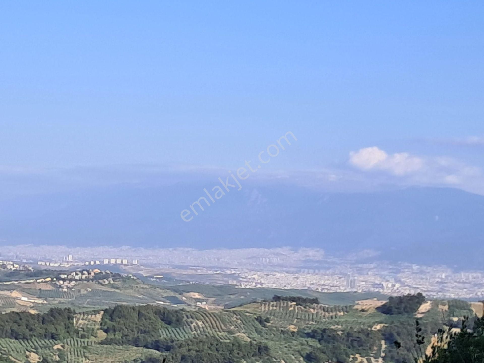 Bursa Mudanya Çepnide Satılık Tarla - Görsel 6