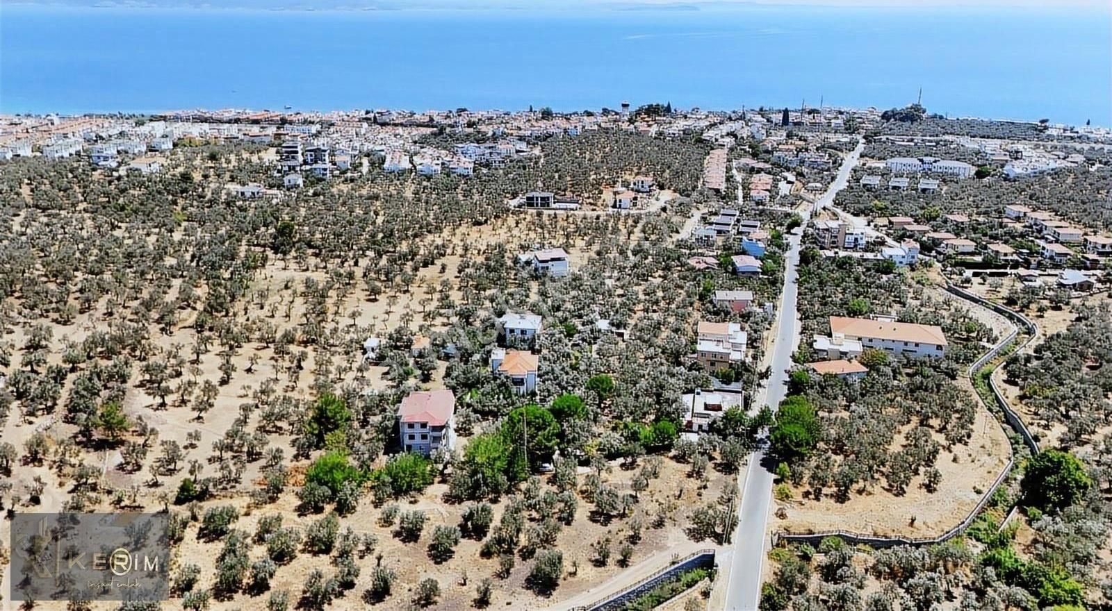 Kerim'den Satılık Avcılar'da İmar Sınırında Yatırımlık Zeytinlik - Görsel 6