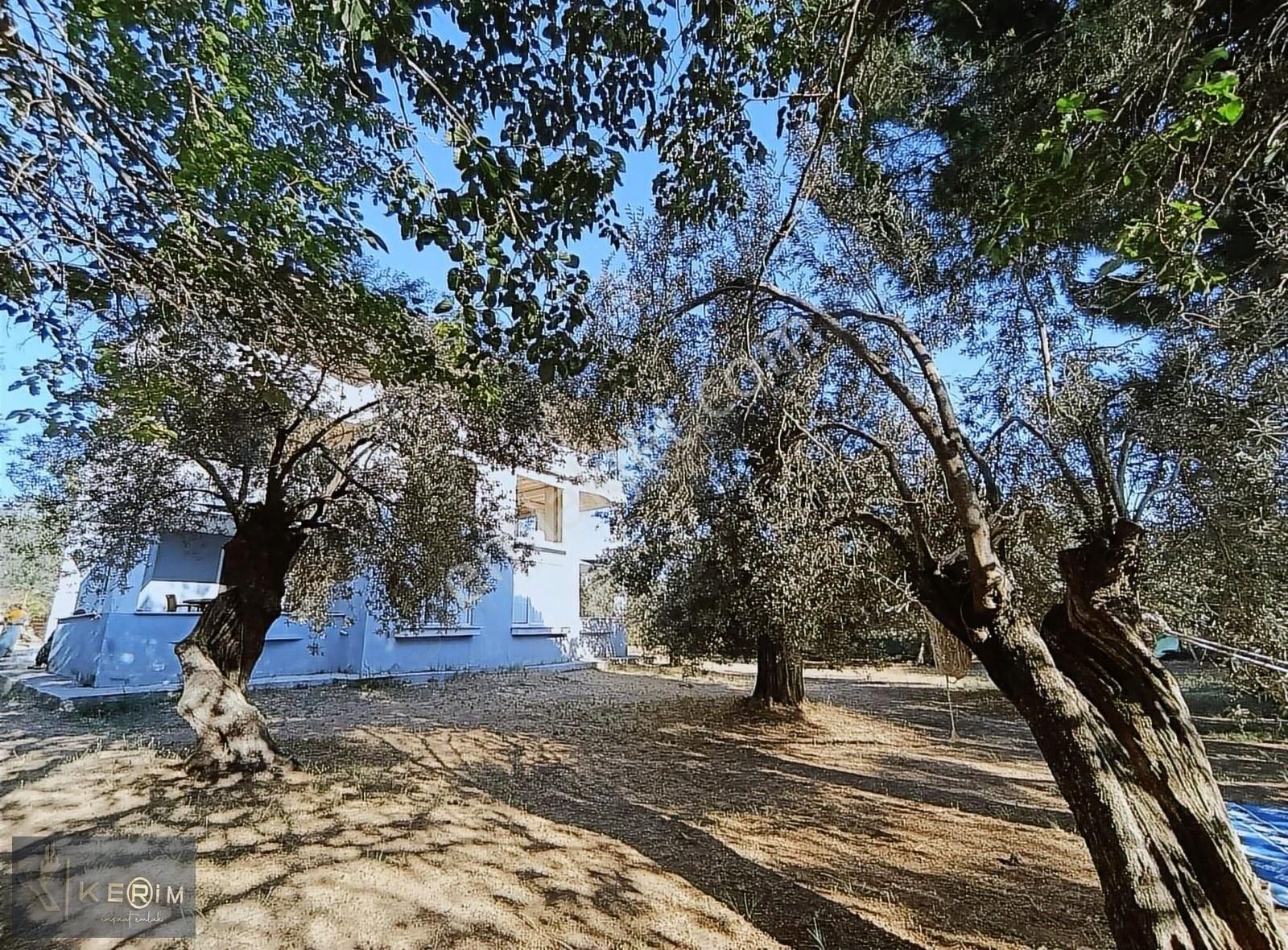 Kerim'den Fiyat Düştü Avcılar Satılık İki Villa Deniz Manzaralı - Görsel 16