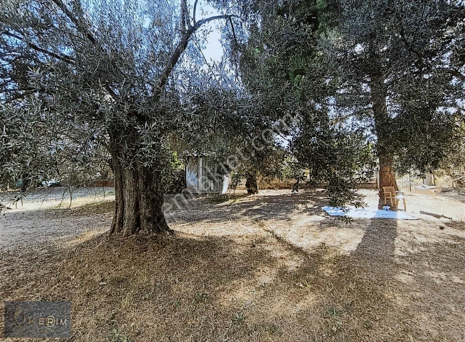 Kerim'den Fiyat Düştü Avcılar Satılık İki Villa Deniz Manzaralı - Görsel 22