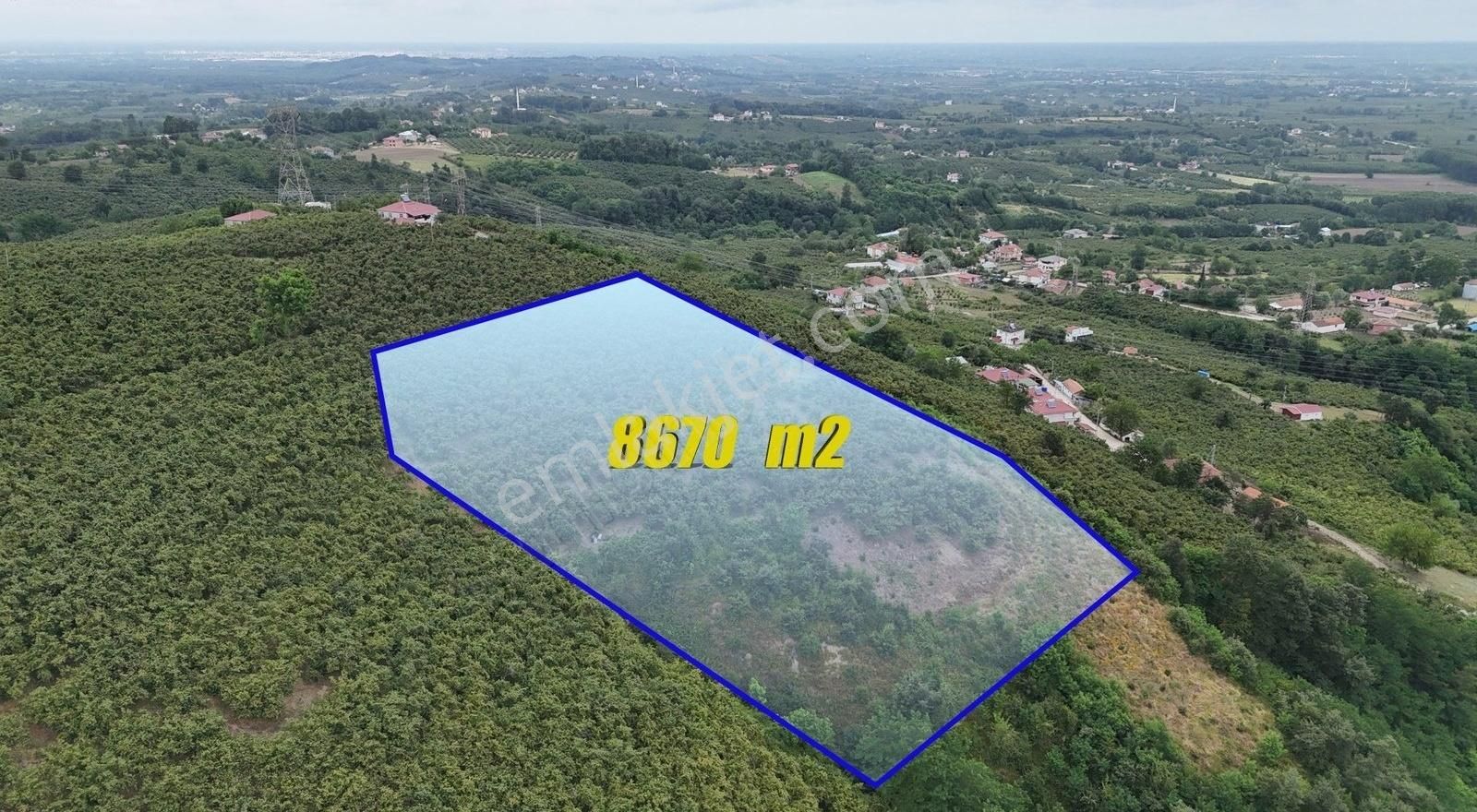 Öz-emmaxtan Gökçeçakmakta Satılık 8670 M2 Fındık Tarlası - Görsel 2