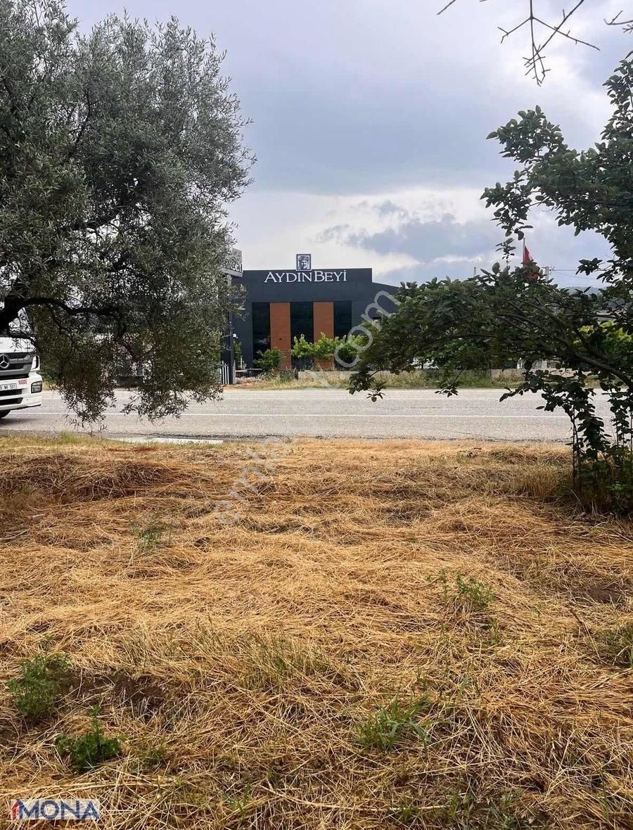 Karacasu Esençay Köyünde 3250 Metrekare Nar Ve Zeytin Bahçesi - Görsel 3