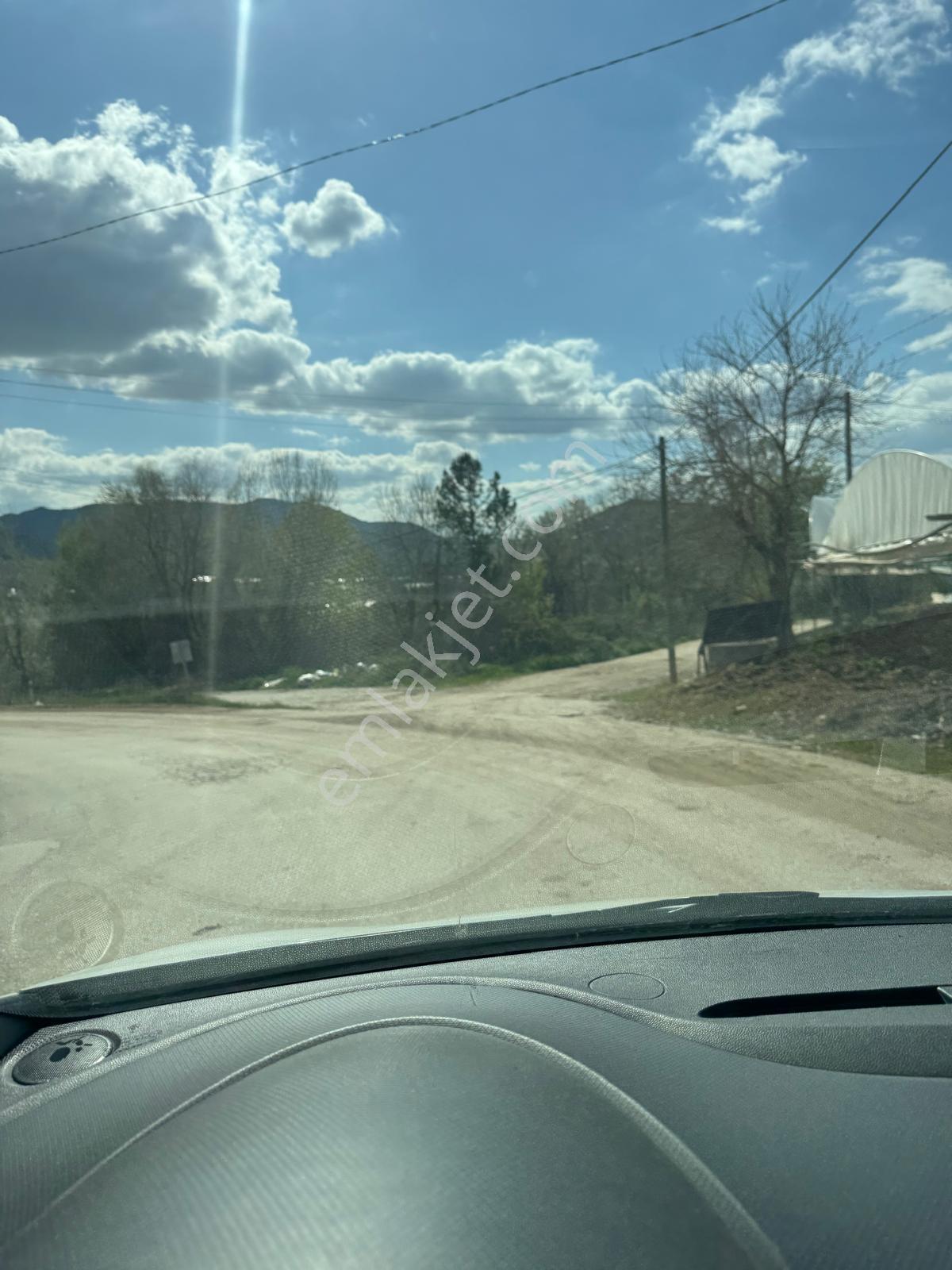 Sakarya Nehri Kenarında Eşsiz Bahçe! - Görsel 3
