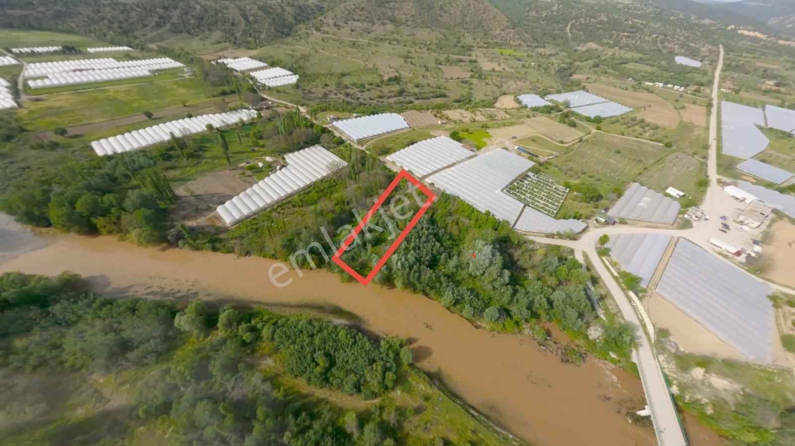 Sakarya Nehri Kenarında Eşsiz Bahçe! - Görsel 11