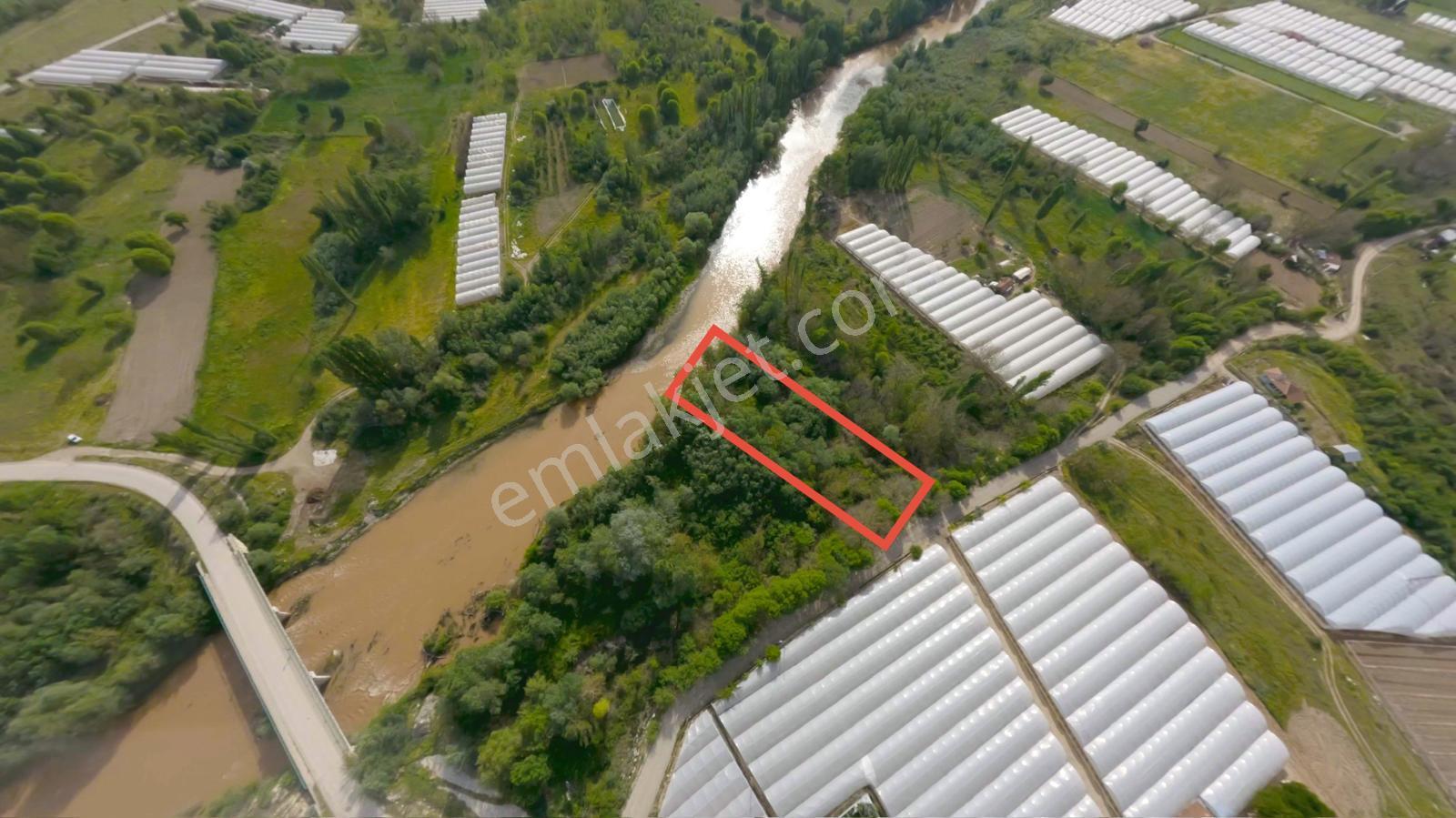 Sakarya Nehri Kenarında Eşsiz Bahçe! - Görsel 13