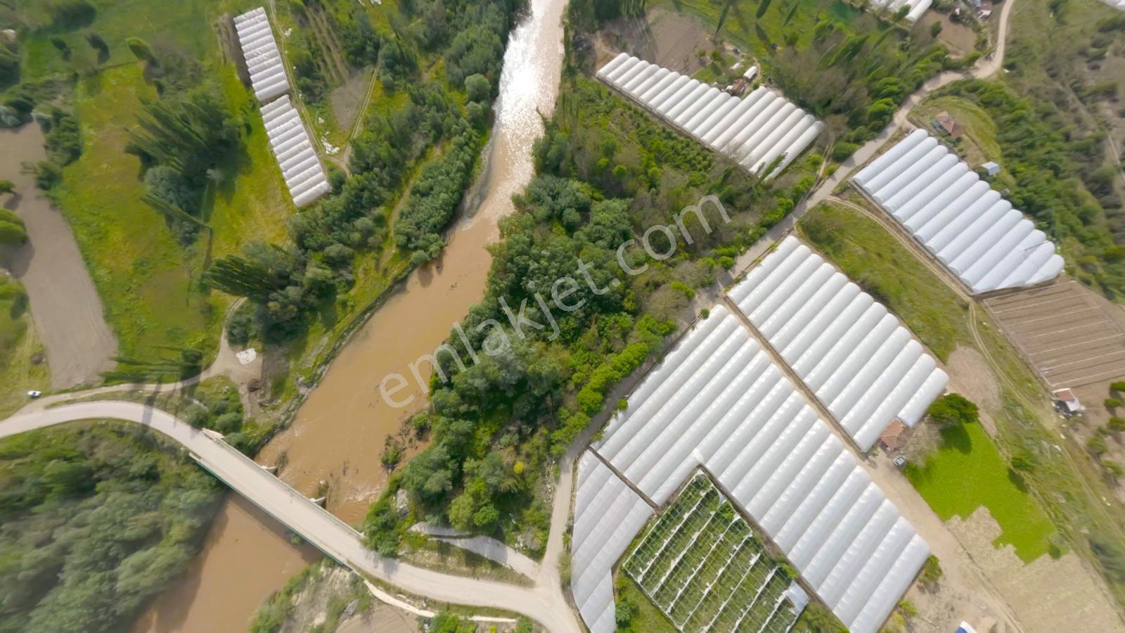 Sakarya Nehri Kenarında Eşsiz Bahçe! - Görsel 9