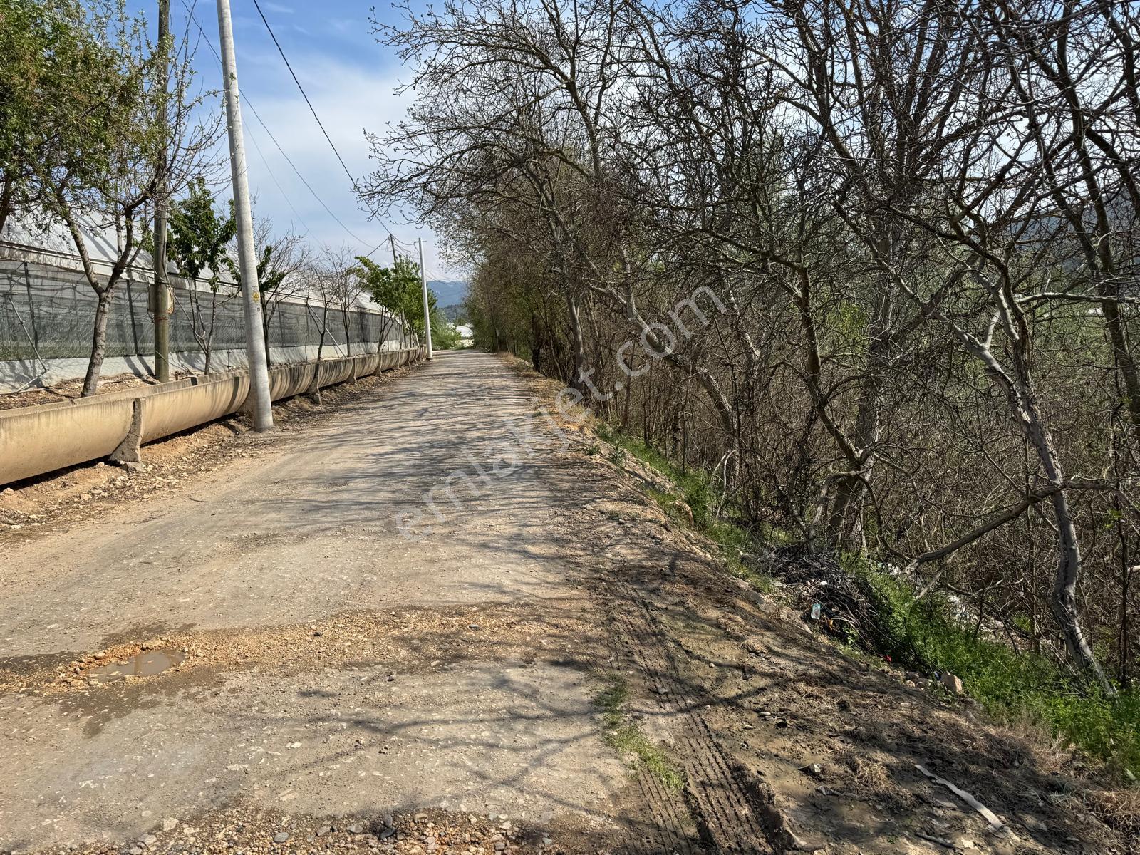 Sakarya Nehri Kenarında Eşsiz Bahçe! - Görsel 5