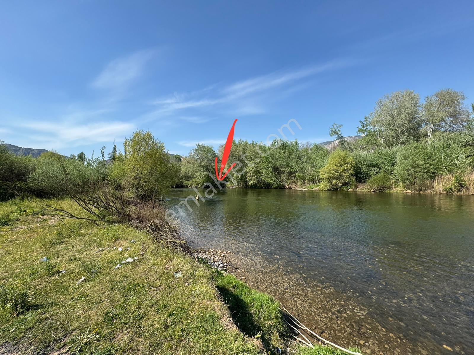 Sakarya Nehri Kenarında Eşsiz Bahçe! - Görsel 7