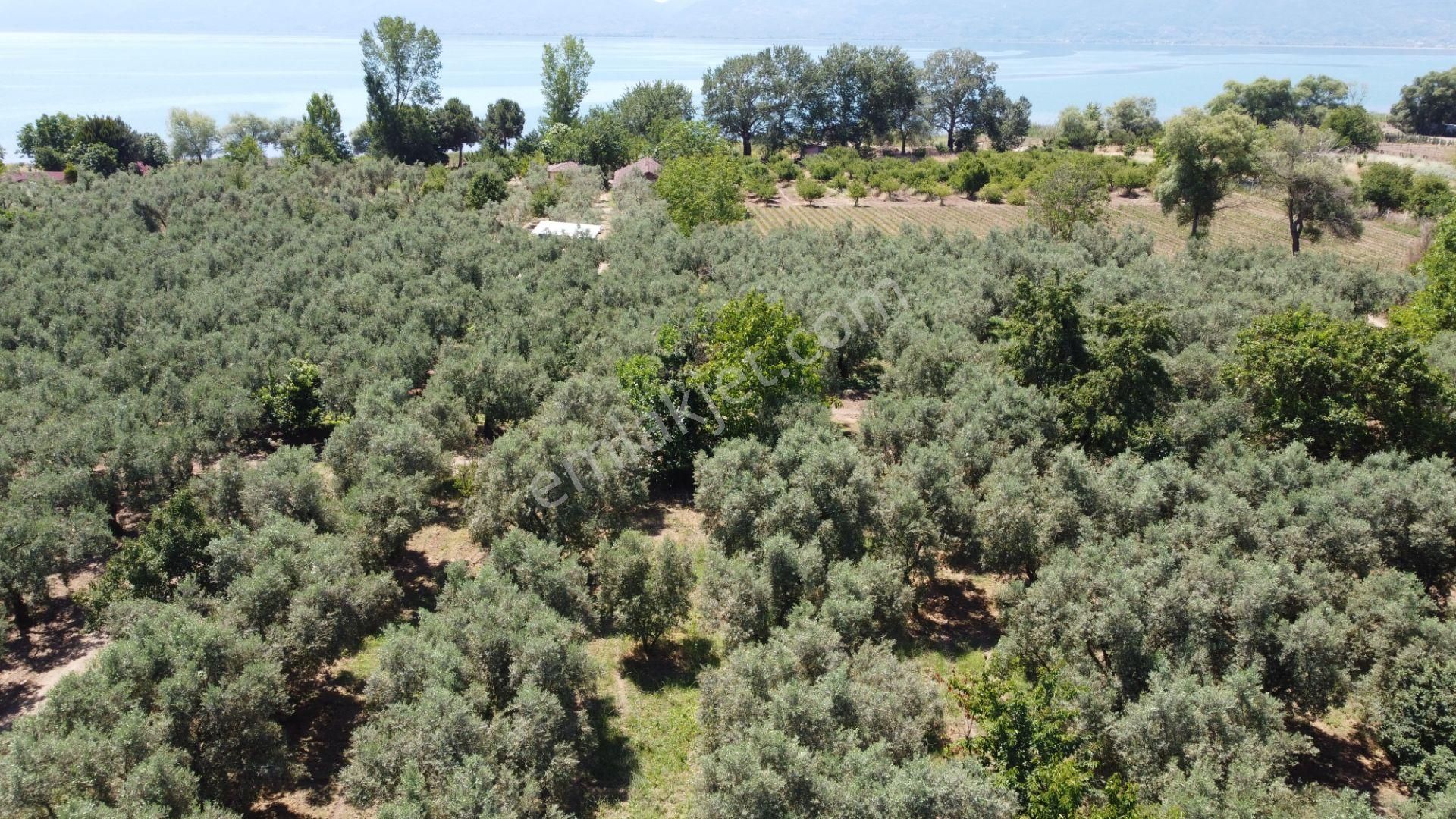 Beka Gayrimenkul'den Yeniköy Altında 3772 M2 Göle Çok Yakın Resmi Yol Cephelitarla - Görsel 26