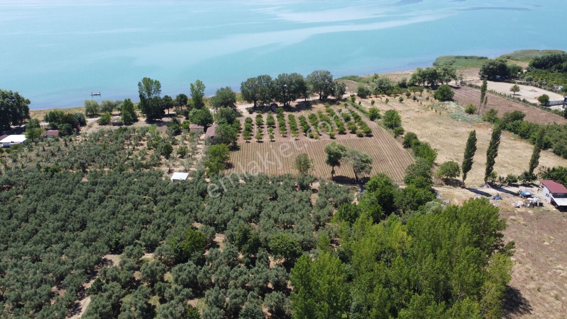 Beka Gayrimenkul'den Yeniköy Altında 3772 M2 Göle Çok Yakın Resmi Yol Cephelitarla - Görsel 10