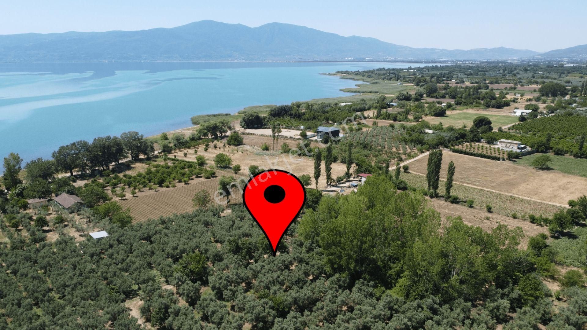 Beka Gayrimenkul'den Yeniköy Altında 3772 M2 Göle Çok Yakın Resmi Yol Cephelitarla - Görsel 2
