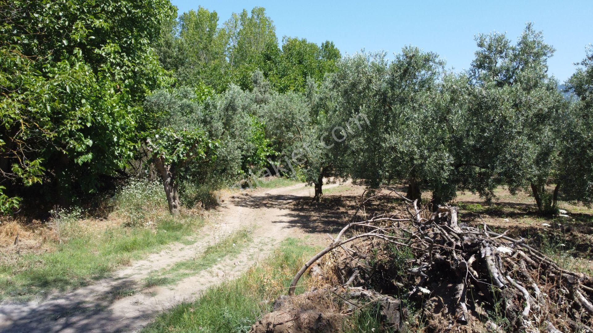 Beka Gayrimenkul'den Yeniköy Altında 3772 M2 Göle Çok Yakın Resmi Yol Cephelitarla - Görsel 5