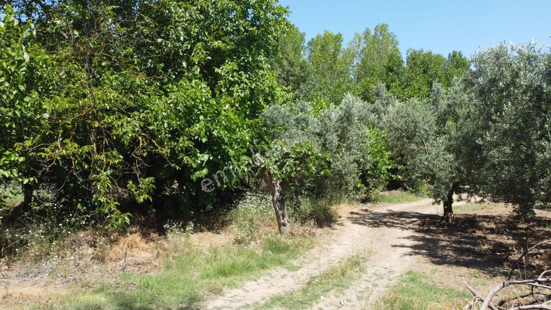 Beka Gayrimenkul'den Yeniköy Altında 3772 M2 Göle Çok Yakın Resmi Yol Cephelitarla - Görsel 4