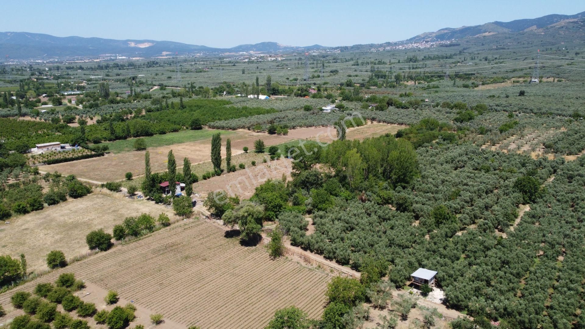 Beka Gayrimenkul'den Yeniköy Altında 3772 M2 Göle Çok Yakın Resmi Yol Cephelitarla - Görsel 18