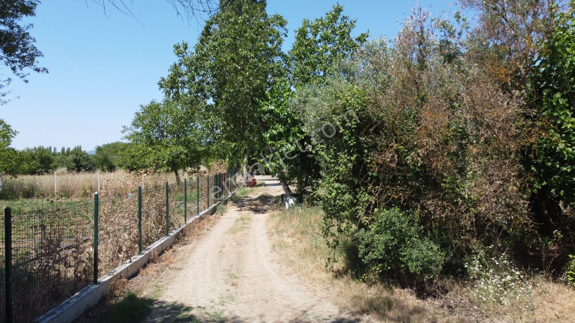 Beka Gayrimenkul'den Yeniköy Altında 3772 M2 Göle Çok Yakın Resmi Yol Cephelitarla - Görsel 6