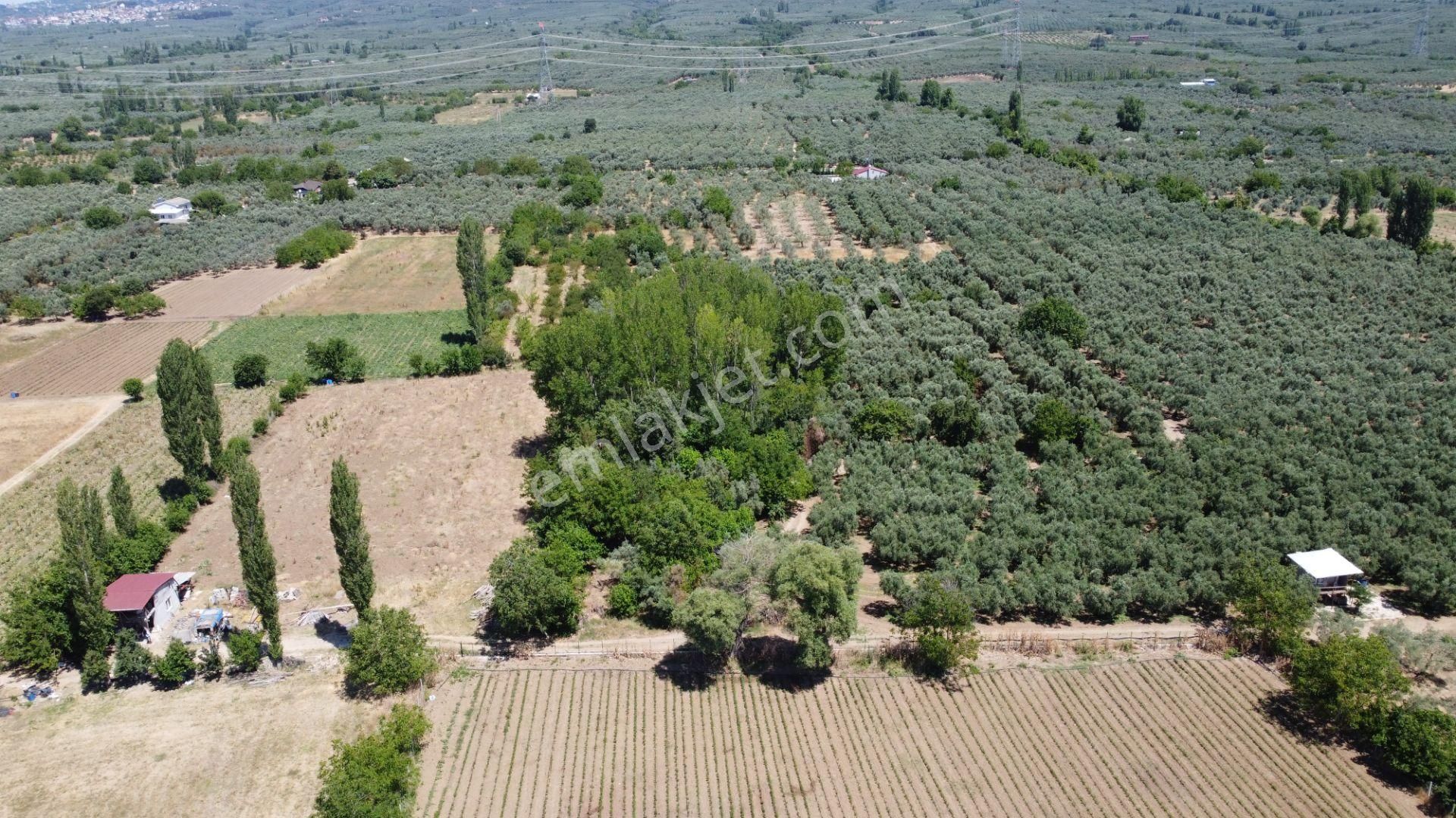 Beka Gayrimenkul'den Yeniköy Altında 3772 M2 Göle Çok Yakın Resmi Yol Cephelitarla - Görsel 20