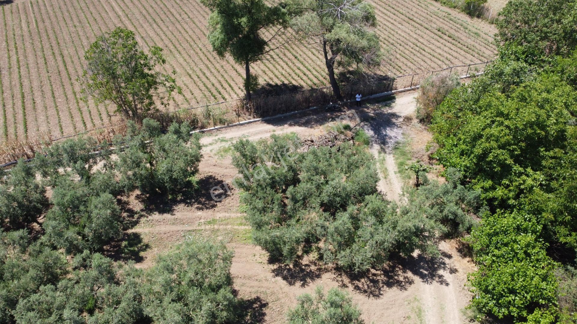 Beka Gayrimenkul'den Yeniköy Altında 3772 M2 Göle Çok Yakın Resmi Yol Cephelitarla - Görsel 22