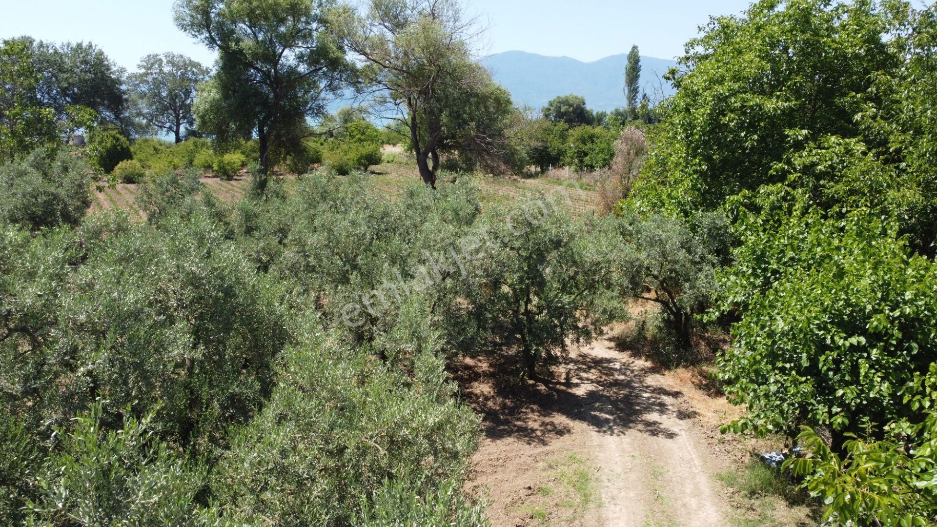 Beka Gayrimenkul'den Yeniköy Altında 3772 M2 Göle Çok Yakın Resmi Yol Cephelitarla - Görsel 27