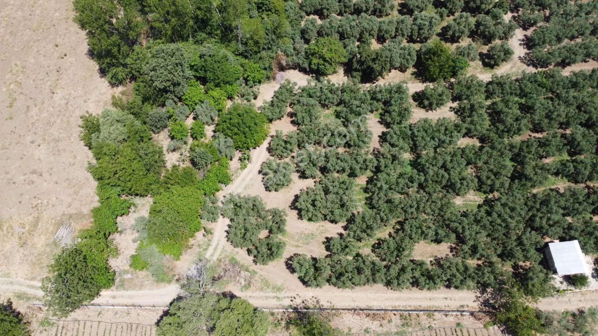 Beka Gayrimenkul'den Yeniköy Altında 3772 M2 Göle Çok Yakın Resmi Yol Cephelitarla - Görsel 21