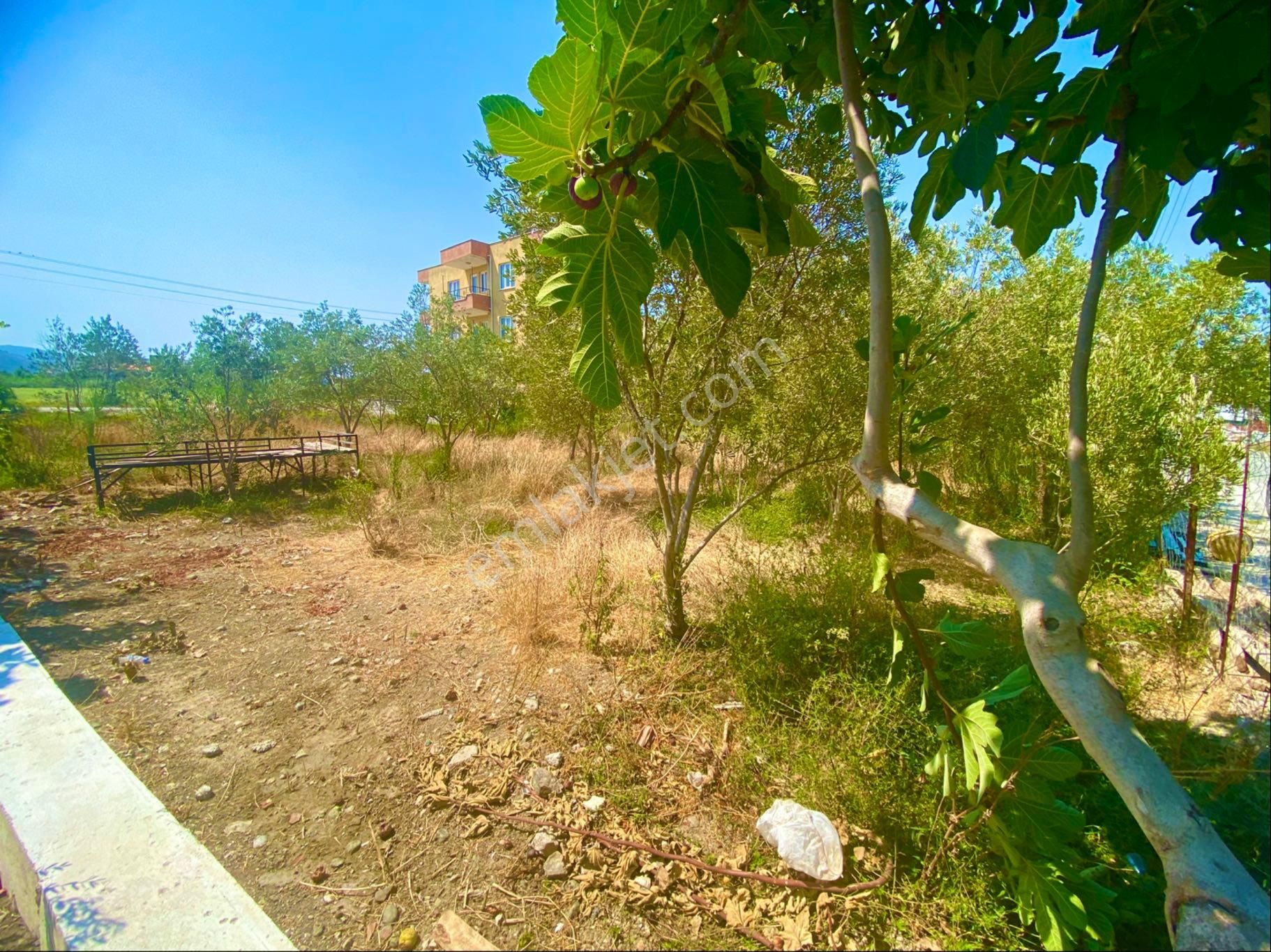 Dalaman Hürriyet De Yatırımlık Arsa