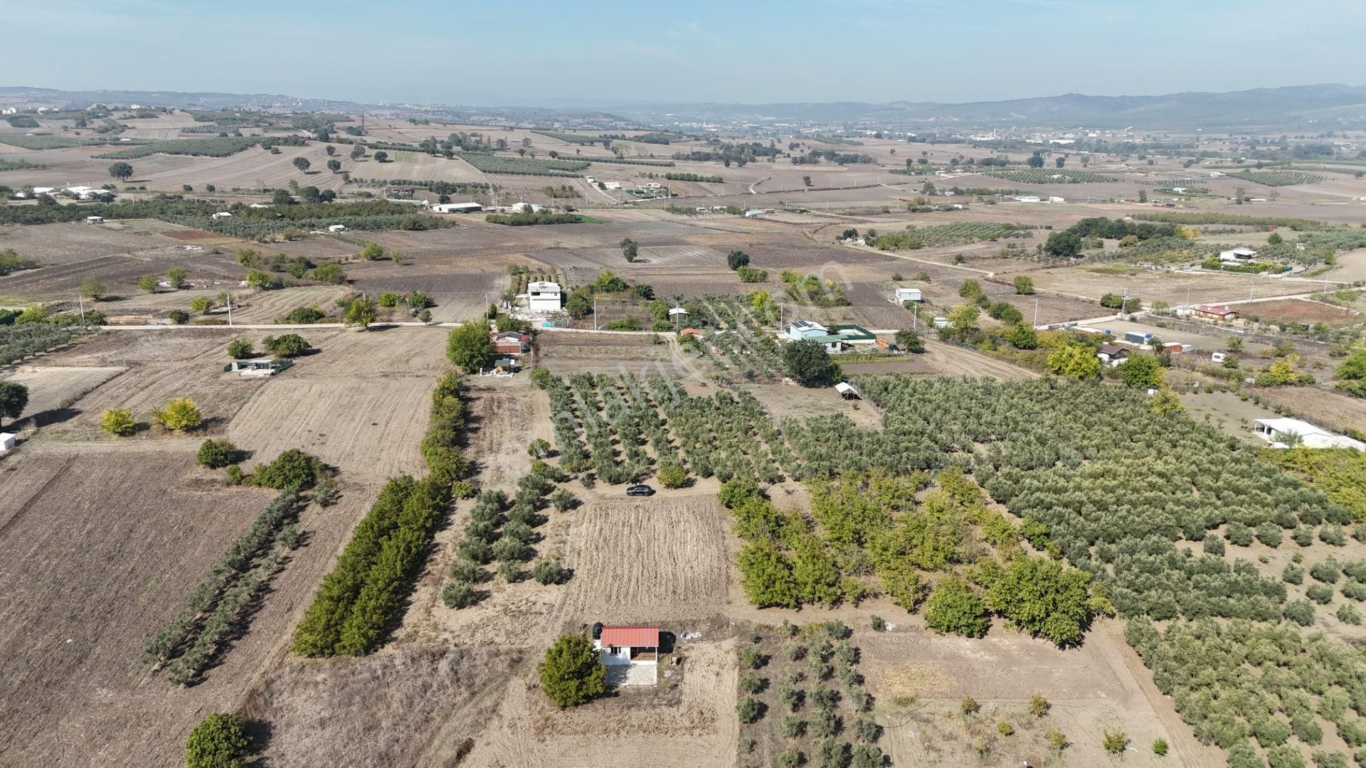 Bahar'dan Görükle'de Bağ Evi Yapımına Uygun Tarla - Görsel 20