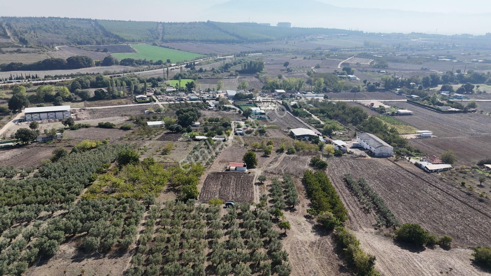 Bahar'dan Görükle'de Bağ Evi Yapımına Uygun Tarla - Görsel 15