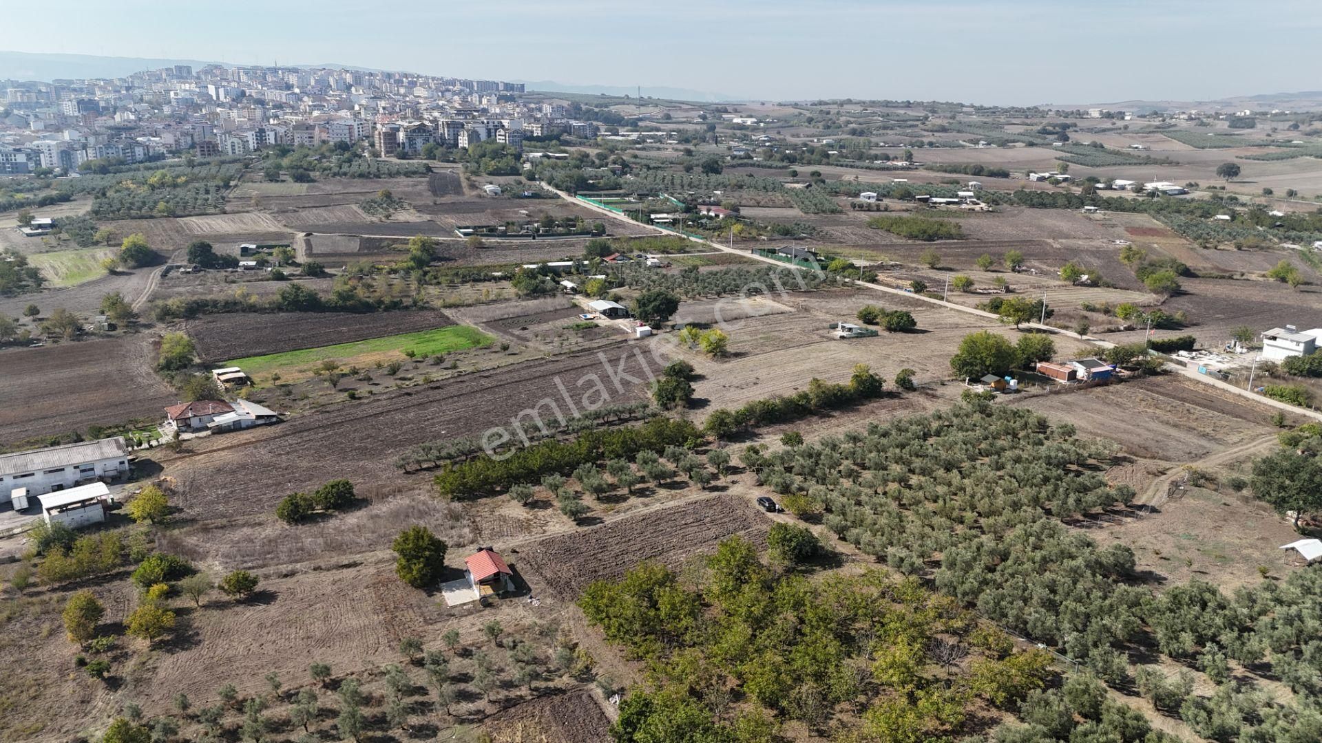 Bahar'dan Görükle'de Bağ Evi Yapımına Uygun Tarla - Görsel 19