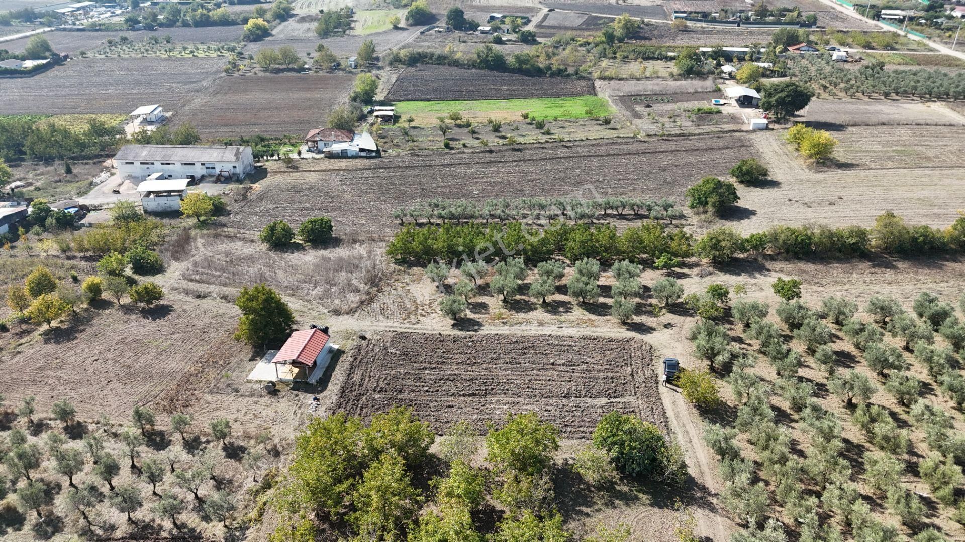 Bahar'dan Görükle'de Bağ Evi Yapımına Uygun Tarla - Görsel 6