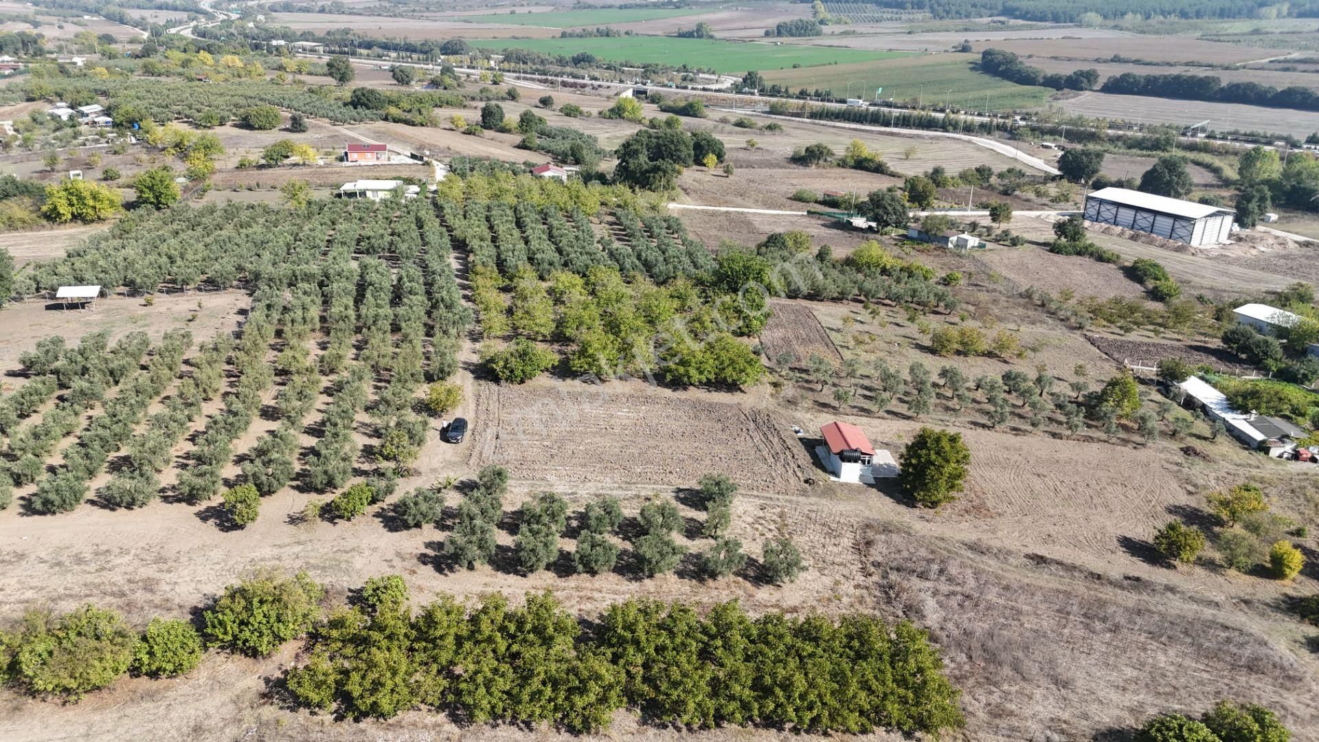 Bahar'dan Görükle'de Bağ Evi Yapımına Uygun Tarla - Görsel 12
