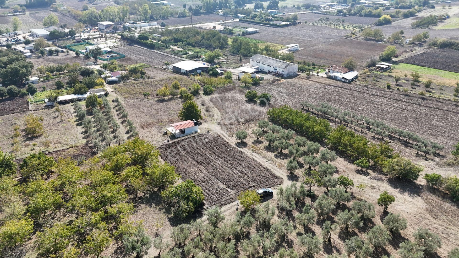 Bahar'dan Görükle'de Bağ Evi Yapımına Uygun Tarla - Görsel 5