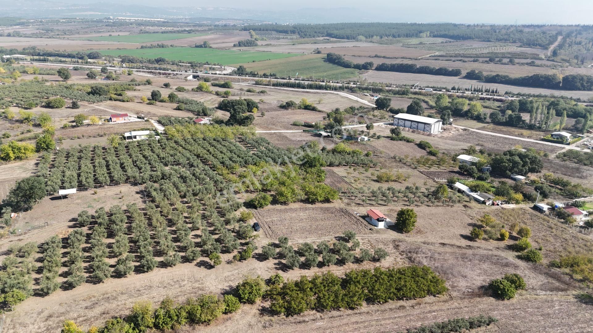 Bahar'dan Görükle'de Bağ Evi Yapımına Uygun Tarla - Görsel 13