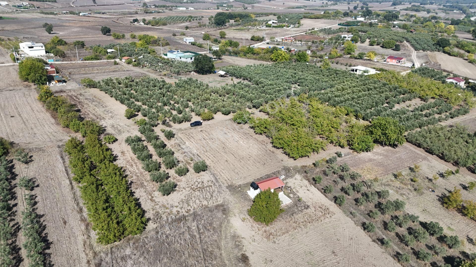 Bahar'dan Görükle'de Bağ Evi Yapımına Uygun Tarla - Görsel 10