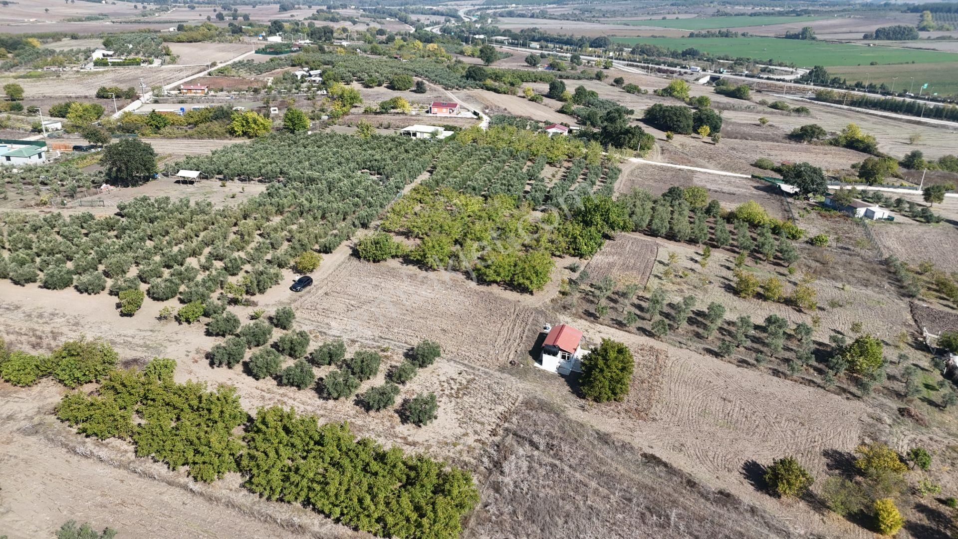 Bahar'dan Görükle'de Bağ Evi Yapımına Uygun Tarla - Görsel 11
