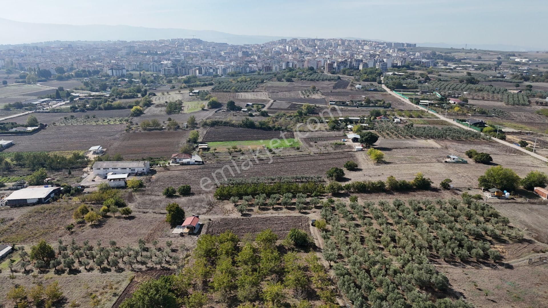 Bahar'dan Görükle'de Bağ Evi Yapımına Uygun Tarla - Görsel 18