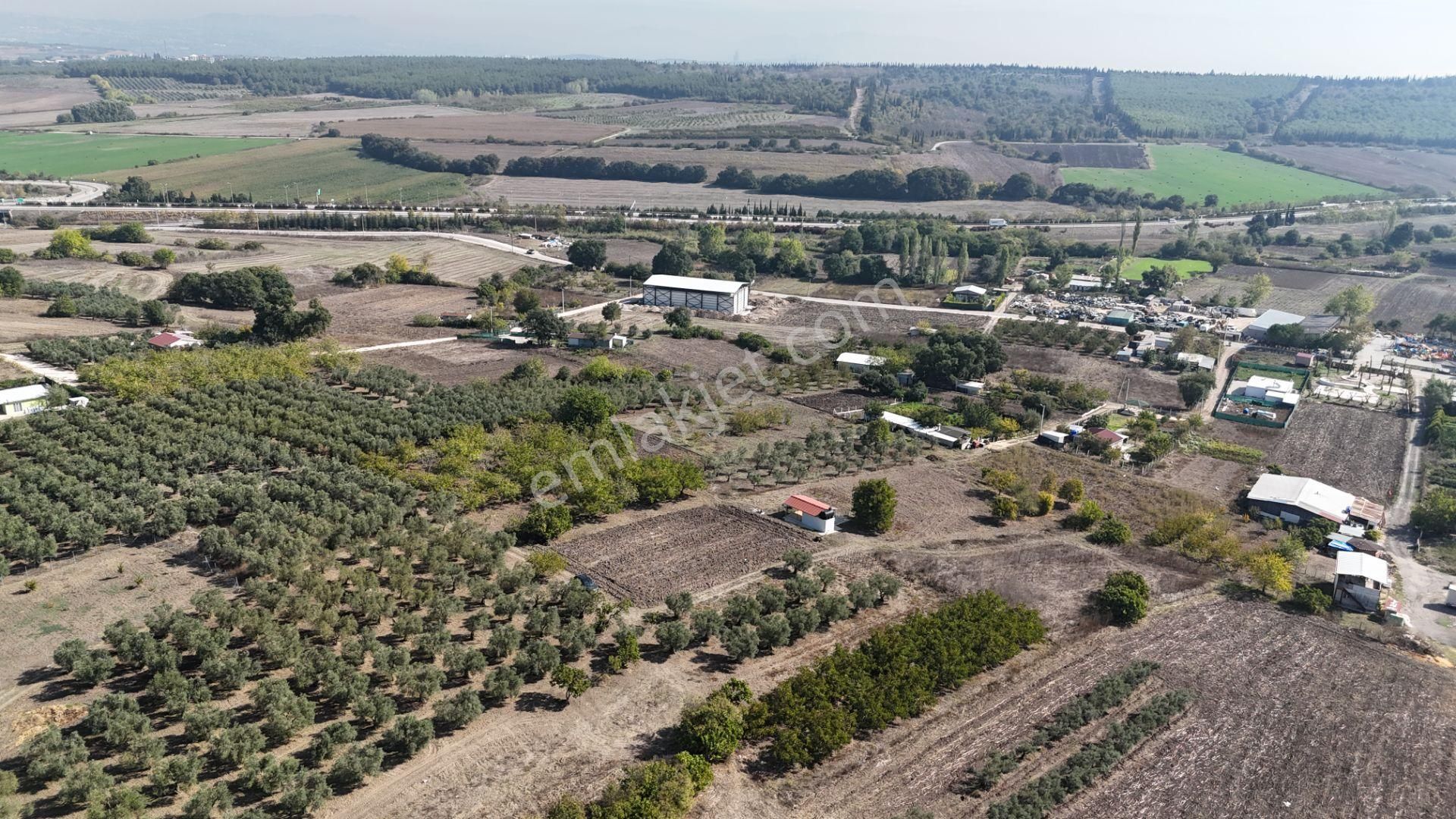 Bahar'dan Görükle'de Bağ Evi Yapımına Uygun Tarla - Görsel 14