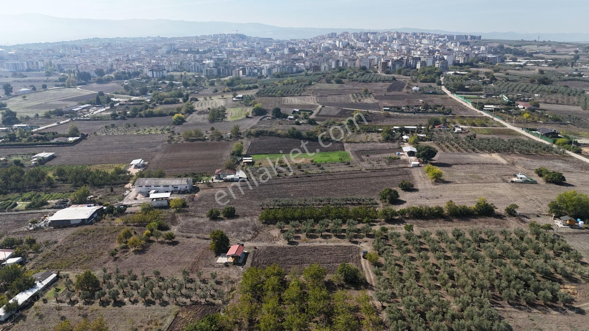 Bahar'dan Görükle'de Bağ Evi Yapımına Uygun Tarla - Görsel 21